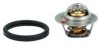 HOFFER 8192626 Thermostat, coolant